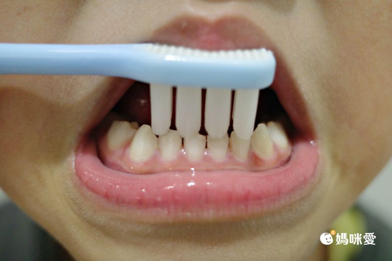媽咪圈瘋搶！台灣【齒妍堂】幼童潔牙用品大集合
