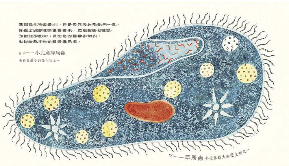 微生物：看不見的魔術師