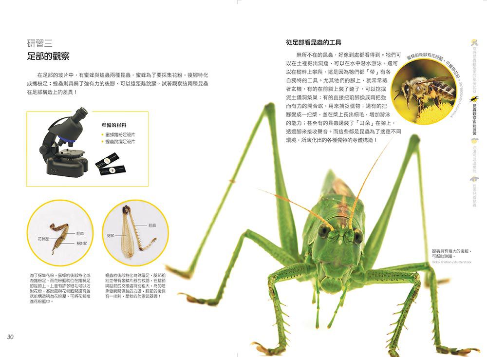 國家地理科學盒子：成為昆蟲觀察家 (盒裝 / 全彩印刷)