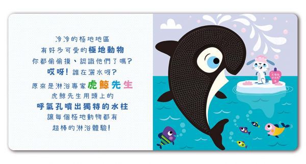 Never Touch！極地動物偷偷摸