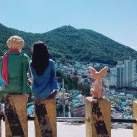 用戶頭像