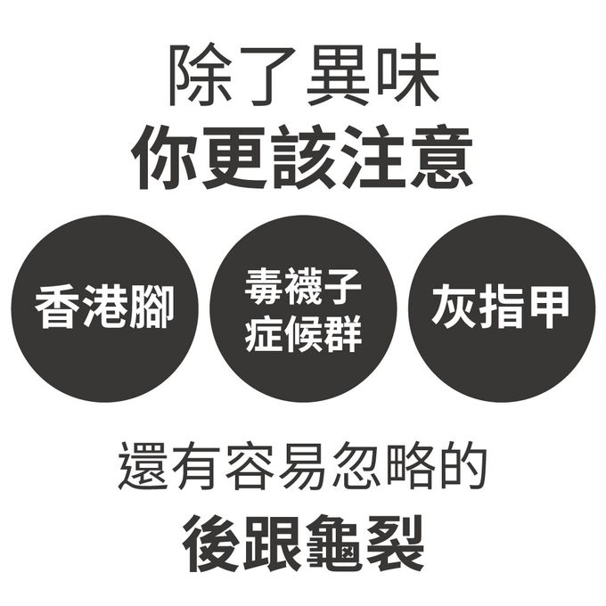 貝柔 Peilou - 抑菌萊卡消臭嫩足襪-短襪學生襪(女-6雙組)-灰色 (24-26cm)