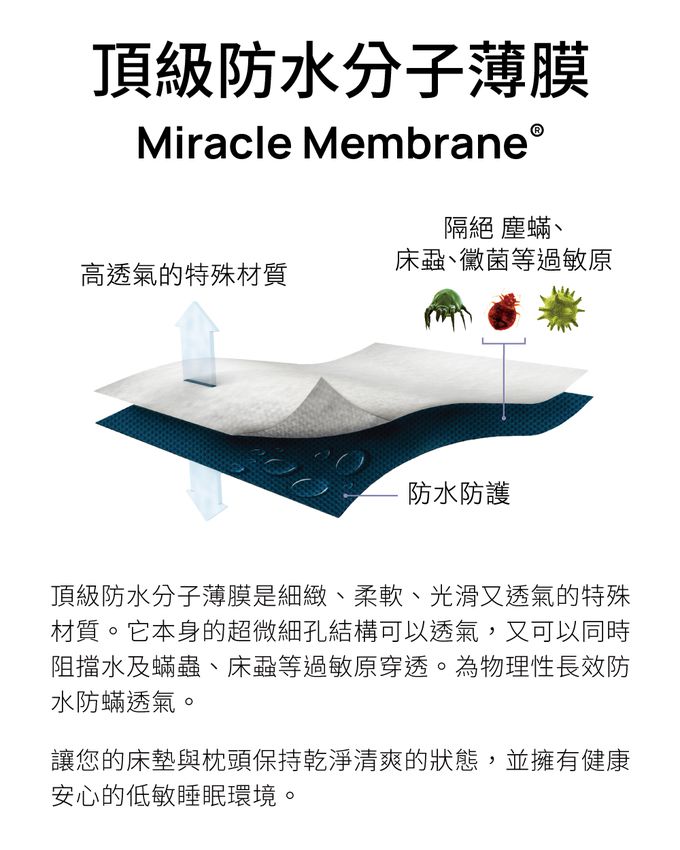 美國寢之堡 - 買全密封床墊套，送極細纖維床包 (特大)-床墊套(182*210*25cm，適用於23~29cm厚)，床包（182*210*45cm）
