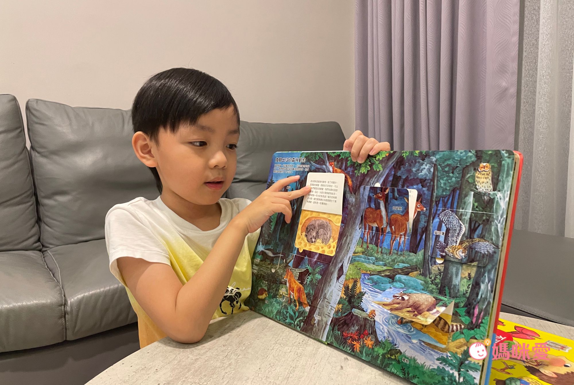 在家輕鬆玩實驗《STEAM 實驗魔法盒》，成為小小科學家好簡單！