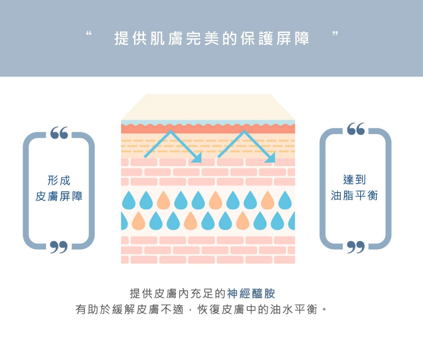 韓國 mongdies - 神經醯胺積雪草護手霜-50ml