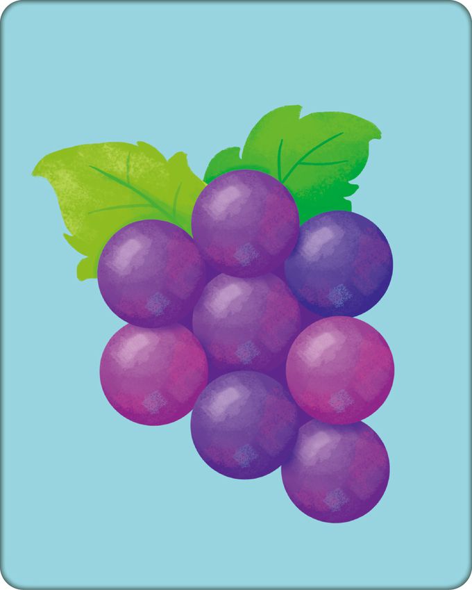 BABY認知大圖卡：蔬果-內附36張認知大圖卡