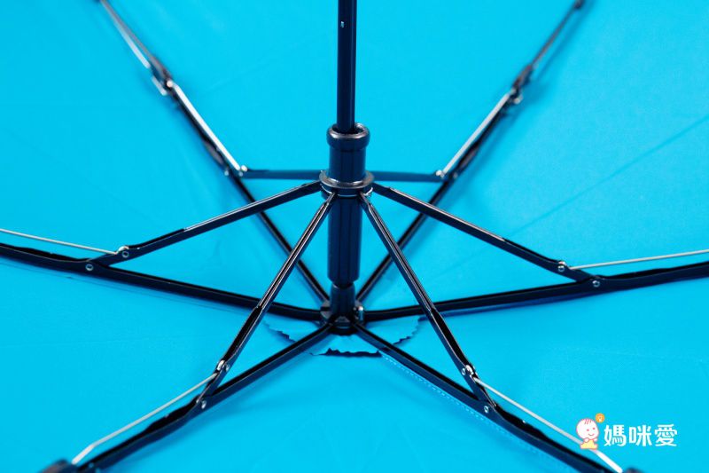 DECUS 台灣精緻輕量手工傘 防潑水傘 自動傘