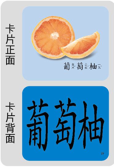創意手提識字卡：水果(98新版)
