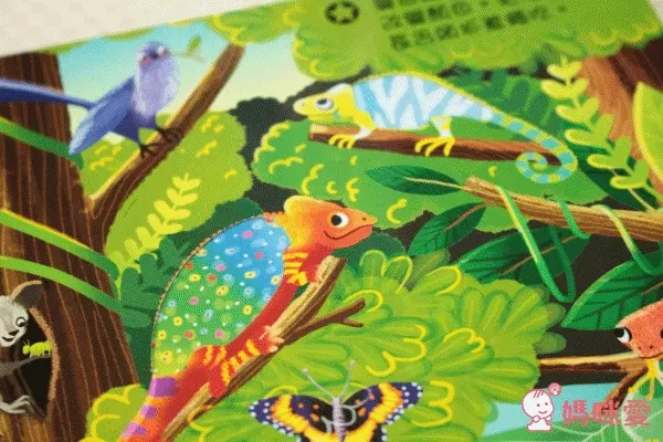 平台最優惠★英國 Campbell Busy 好棒系列操作書 中文版♫眾多媽咪好評推薦！