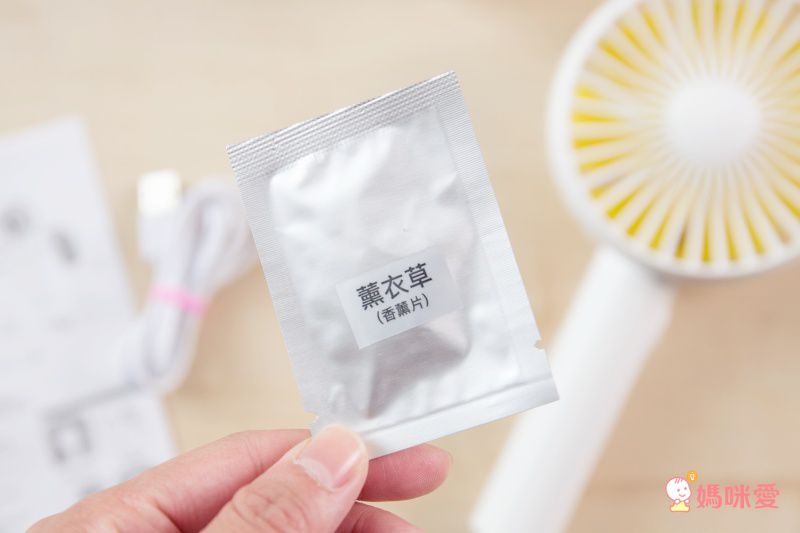 HealthLife 手持 / 電動擺頭兩用清涼小風扇