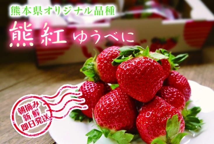 草莓界的夢幻逸品！熊本草莓空運直送 ❤ 濃濃甜香、果肉飽滿細緻