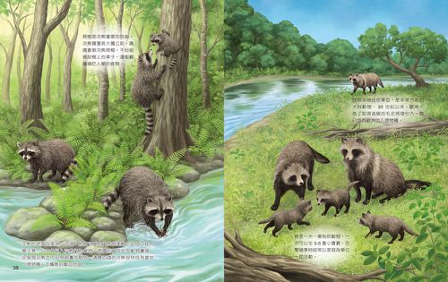 一樣不一樣：陸生動物【A級福利品特惠】-全彩 (單本)-精裝