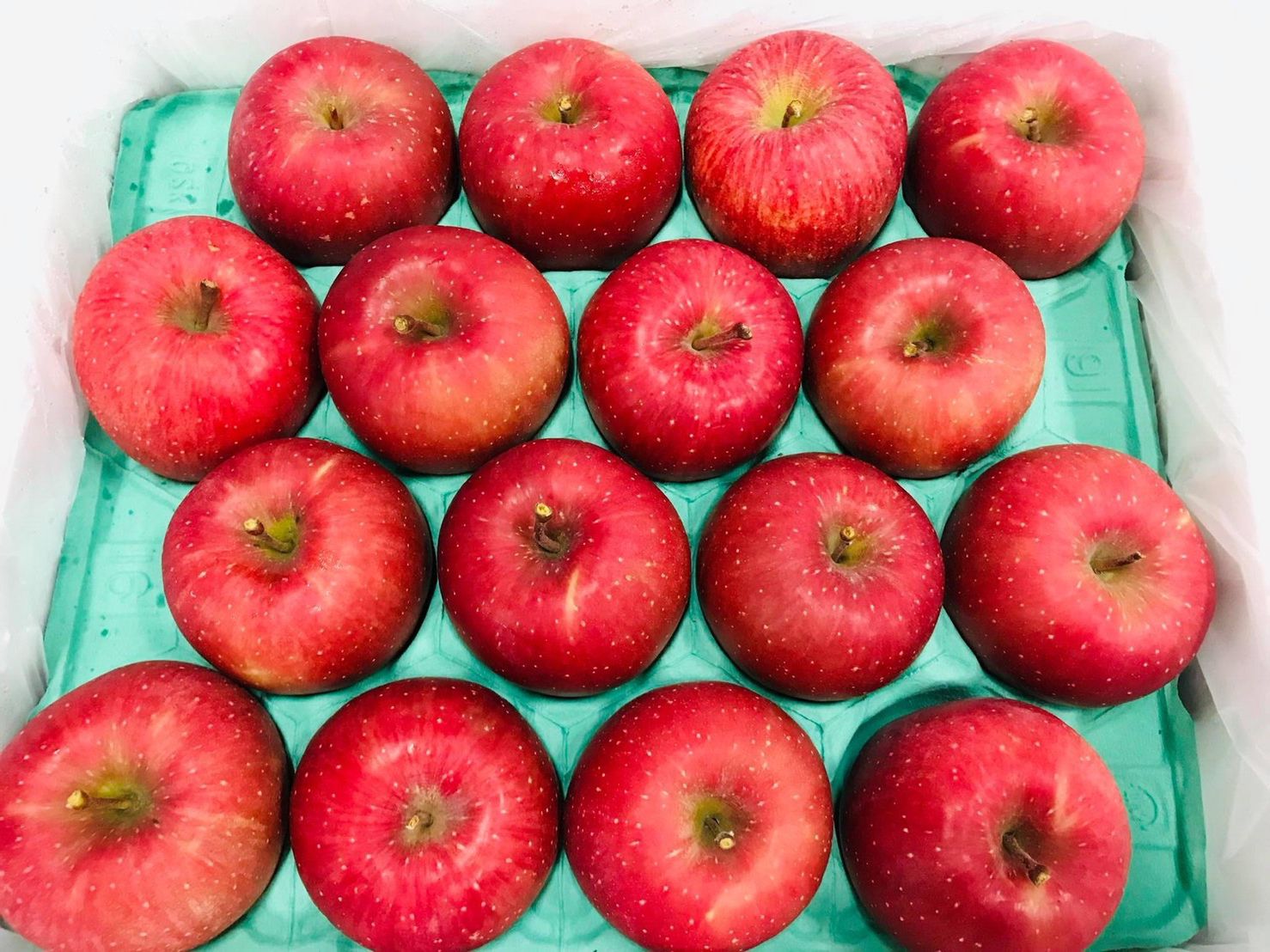草莓界的夢幻逸品！熊本草莓空運直送 ❤ 濃濃甜香、果肉飽滿細緻