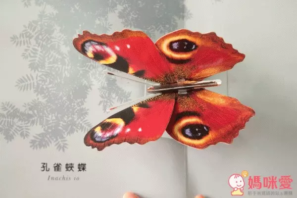 國家地理立體書 系列