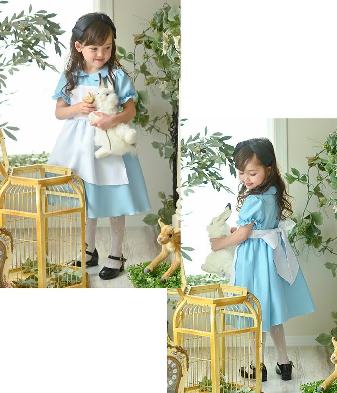 日本 Catherine Cottage - [萬聖節]經典愛麗絲少女短袖洋裝-淺藍