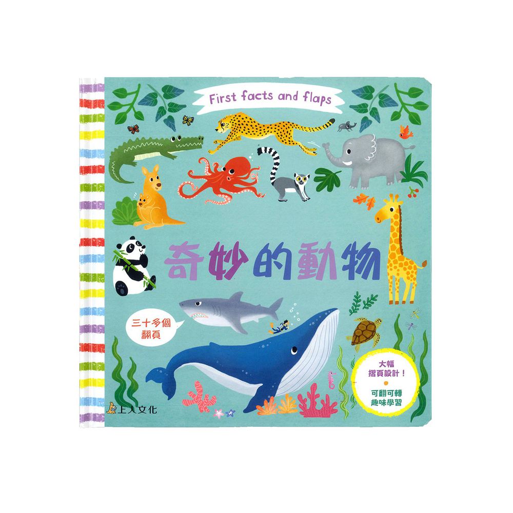 First Fact and Flaps-奇妙的動物