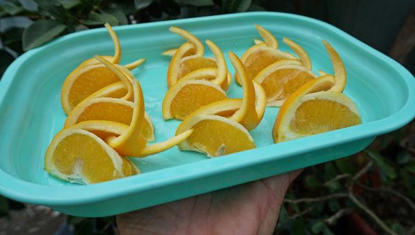 美國Kangovou 小袋鼠不鏽鋼安全兒童餐具