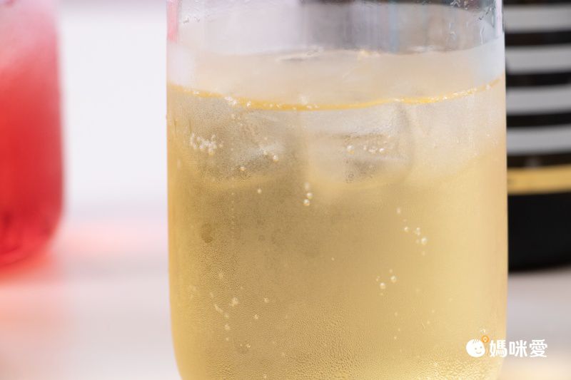 美國 Drinkmate 萬用氣泡水機 獨家專利授權，業界最大容量！