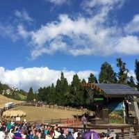 用戶頭像