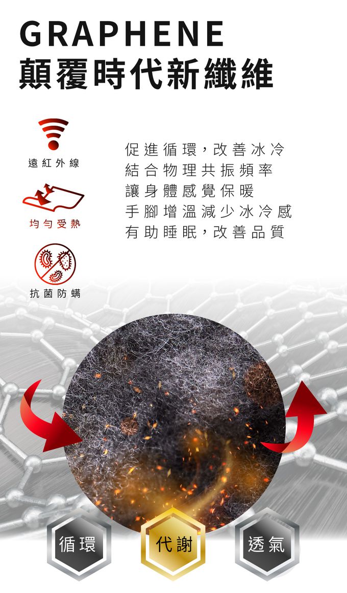 ELVIS 愛菲斯 - 德國魯道夫銀離子遠紅外線石墨烯蓄熱冬被-雙人