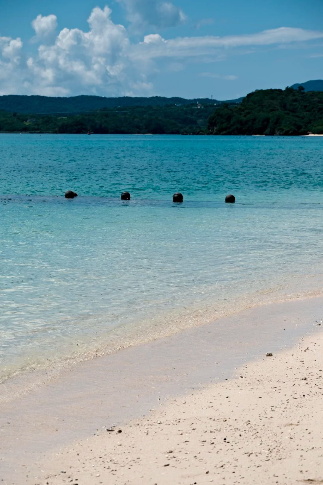🇯🇵第一次去沖繩|推薦的一日遊路線🌊