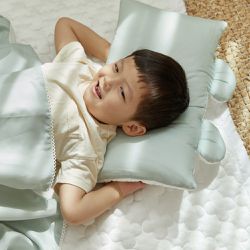 正韓Hello HiZoo - 極度冰涼 Sherbetcool 兒童涼感造型抗菌防蟎雙面枕/涼感枕/護脊/護頸枕-熊耳