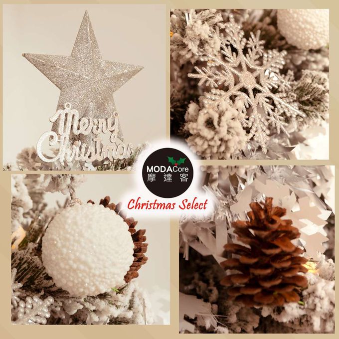 MODACore 摩達客 - 摩達客4尺/4呎(120cm)頂級植雪裝飾聖誕樹/銀白大雪花白果球系全套飾品組不含燈/本島免運費
