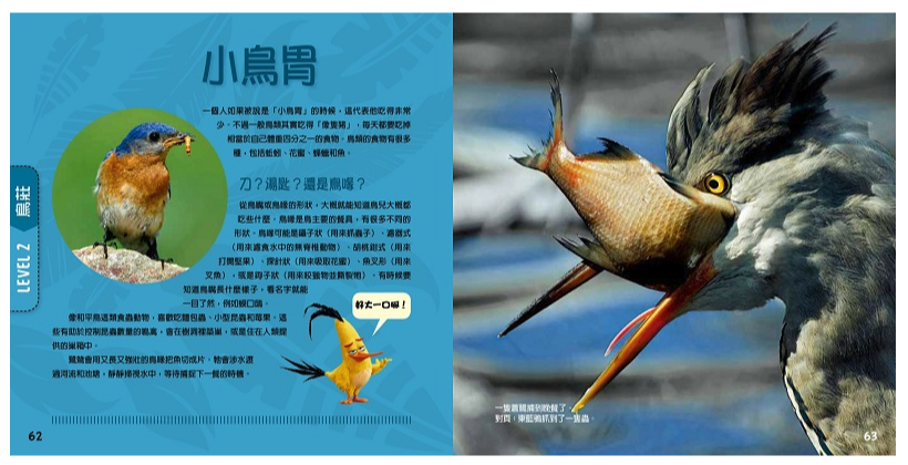 憤怒鳥：銳德的大冒險 (平裝 / 160頁 /全彩印刷)