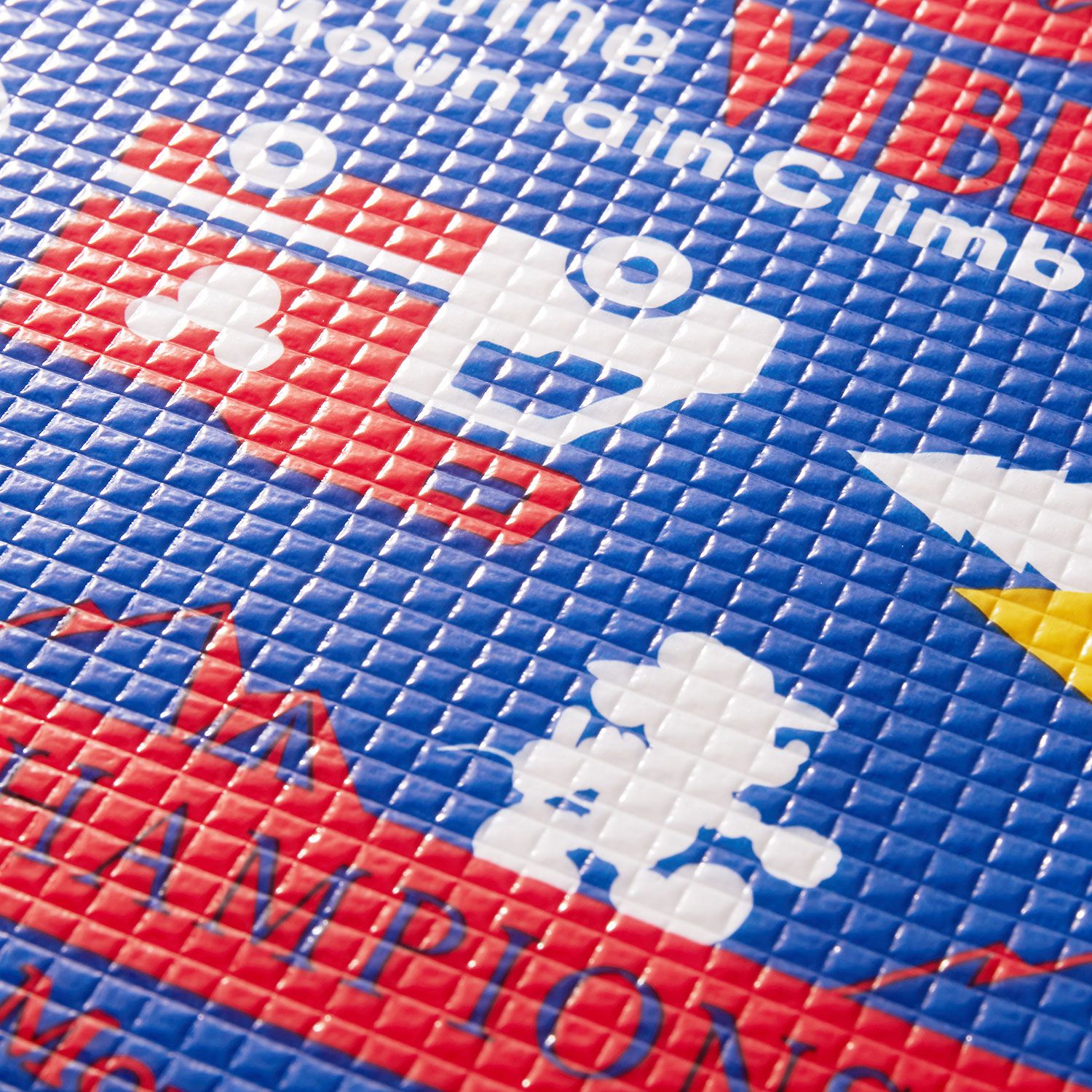 日本 Pearl 金屬 - 迪士尼防水野餐墊(附收納袋)(4-5人)-米奇-藍X紅 (180x180cm)