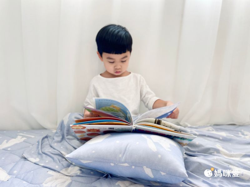 日本小泉涼感寢具❄ 最強涼感王者