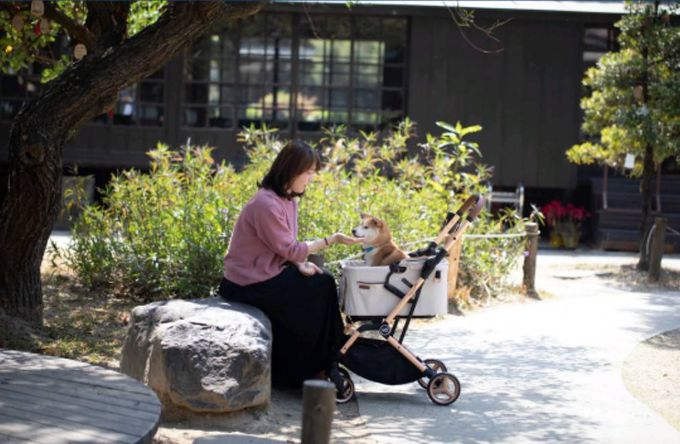 美國卡普奇Capucci - 可分離式座艙自動秒收寵物車-經典灰