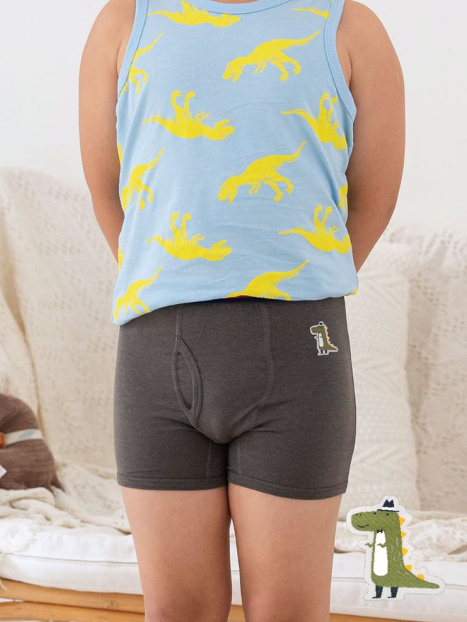 貝柔 Peilou - 天絲棉舒膚平衡童男平口褲-貼布繡-鱷魚-灰