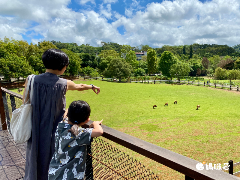 立麗大酒店 ☼ 最多一泊三食直接升等四人房住宿券