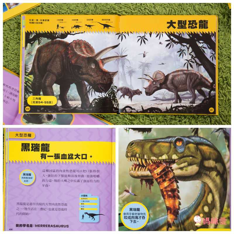 小小恐龍探險家 (精裝 / 128頁 / 全彩印刷)