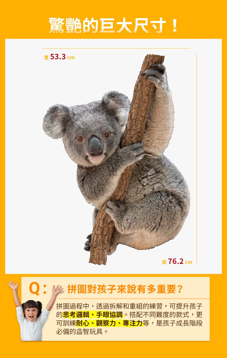 Madd Capp - I AM 動物拼圖-100,我是無尾熊