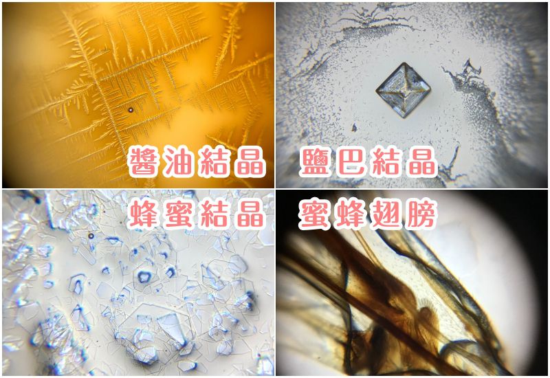 台大研發【行動顯微鏡】只有口紅般大小！