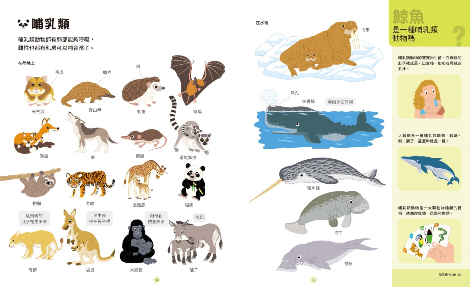 好奇心圖解大百科6奇妙自然