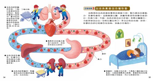WOW原來是這樣QRCode版-56頁/22.6 x 24 cm/大字注音/附朗讀QRCode-全彩-平裝