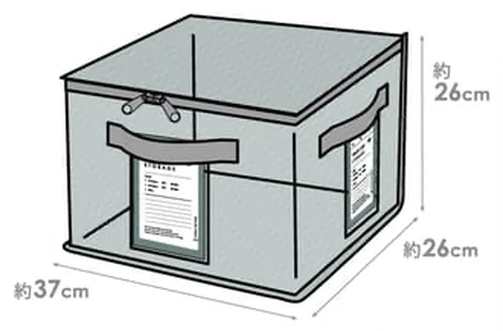 日本代購 - [日本主婦推薦] 半透明多功能衣物收納袋(可肩背/手提)-淺灰 (L(47x20x36cm))
