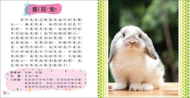 寵物小百科(全新小百科 正方形)