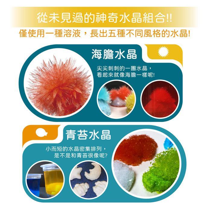 Eagle's 益科思 - 5in1-水晶實驗組
