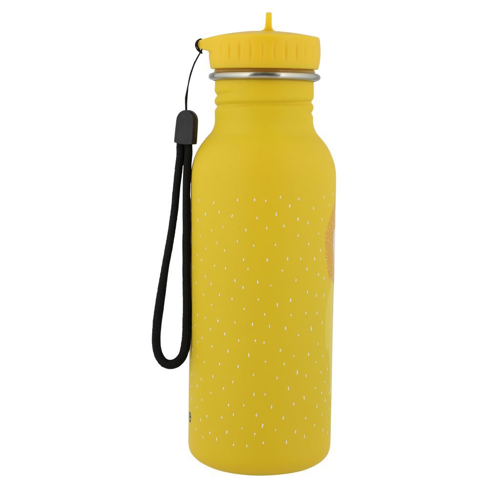 動物愛喝水隨身瓶500ml-陽光獅子