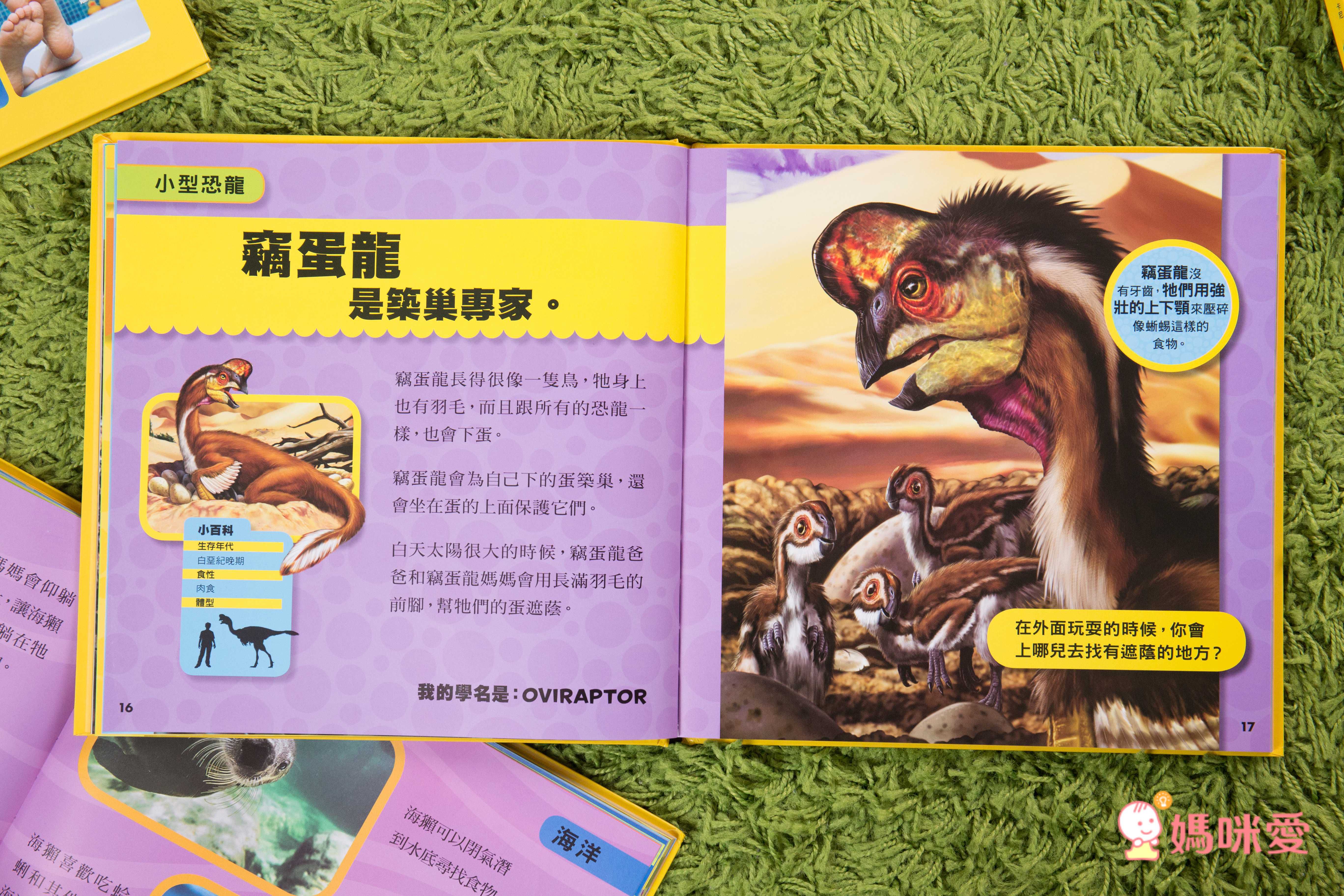 小小恐龍探險家 (精裝 / 128頁 / 全彩印刷)