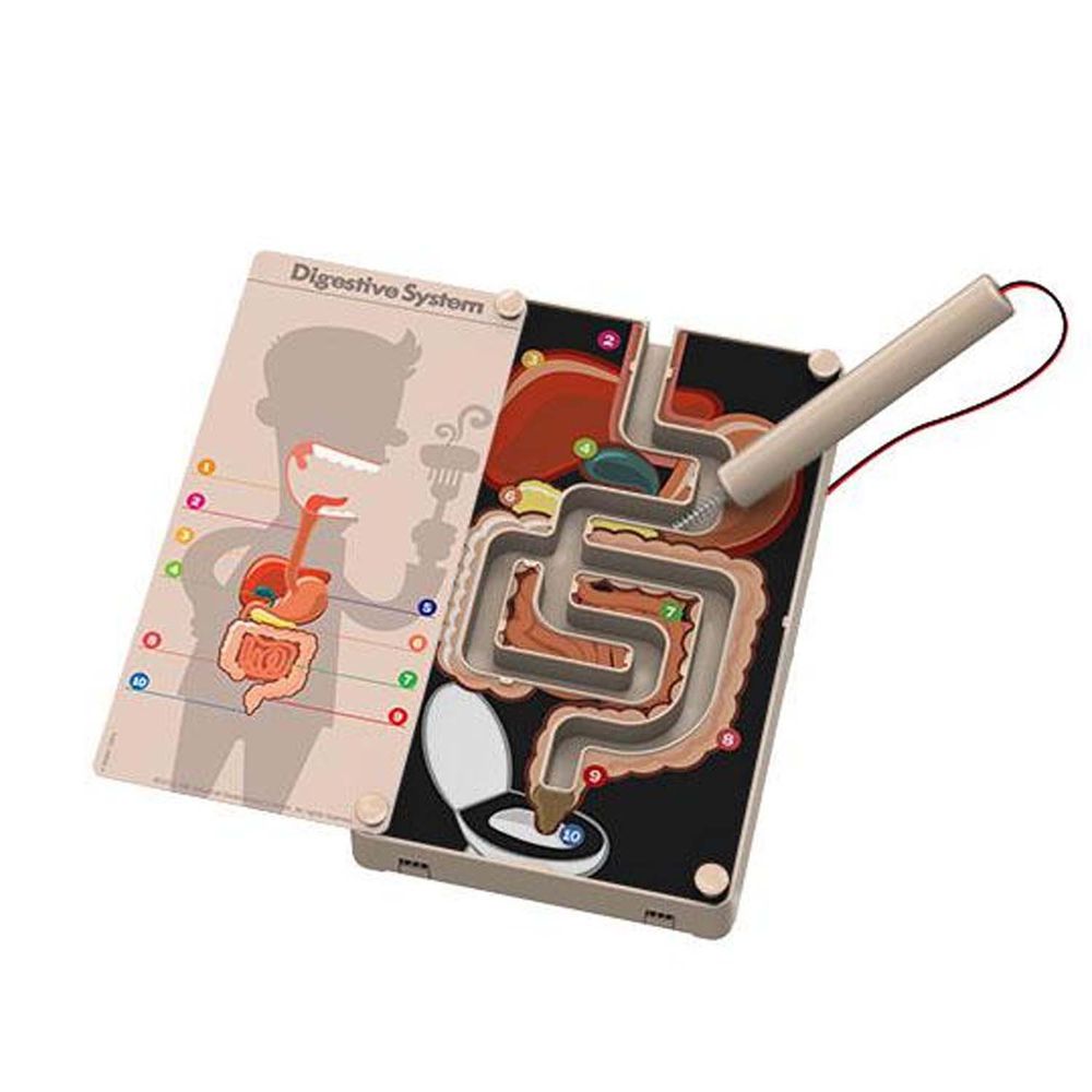 香港4M創意玩具 - 消化道的驚奇探險 Digestive System Buzz Wire