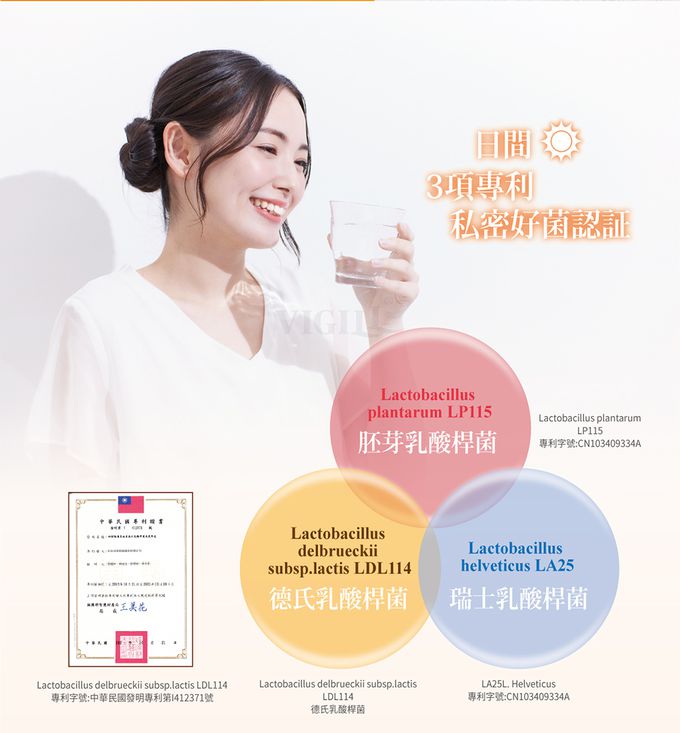 婦潔 VIGILL - 蔓越莓私密益生菌日夜雙護-(20粒+20粒)/盒 (單入)-(20粒+20粒)/盒