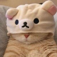 用戶頭像