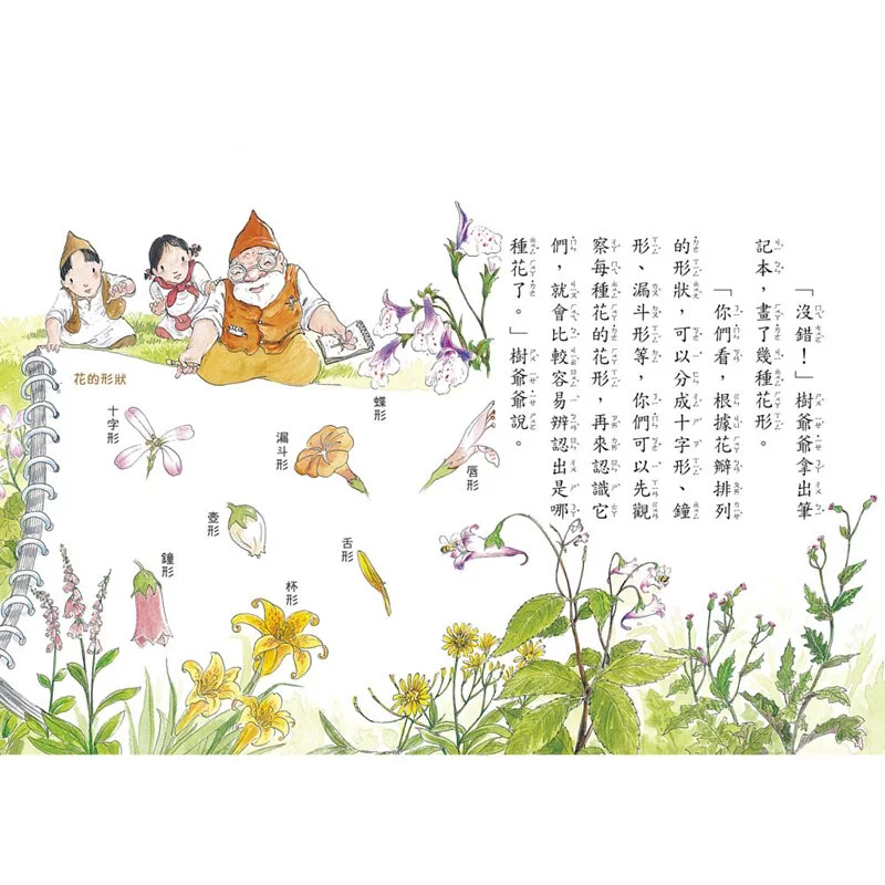 【好好讀小學堂】 早安森林套書3本（限量贈－自然觀察筆記本）