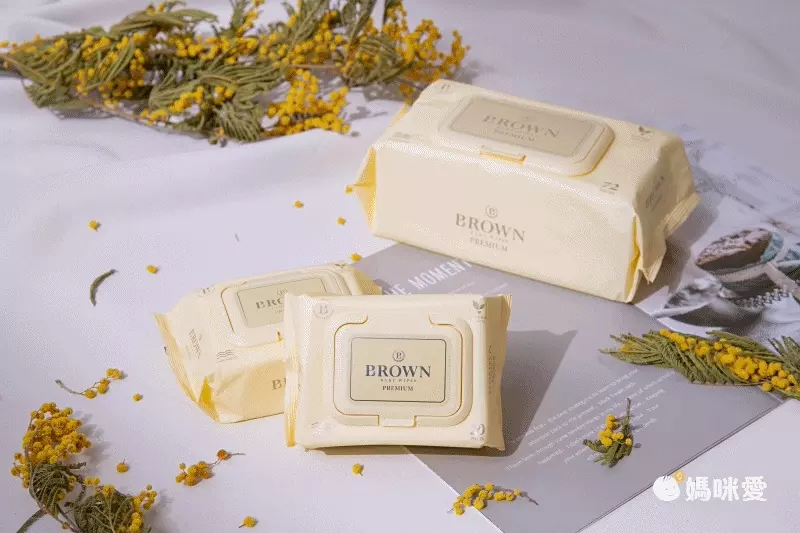 韓國BROWN - PREMIUM濕紙巾-蘆薈20抽(含蓋)*20包