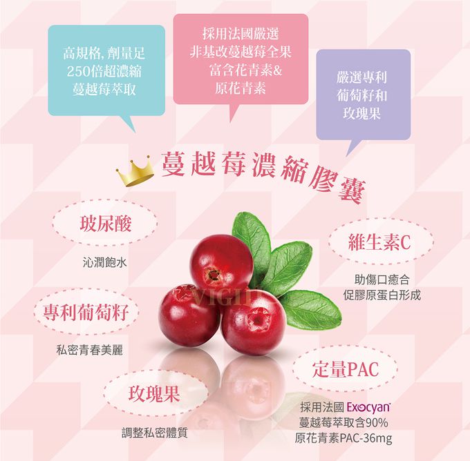 婦潔 VIGILL - 蔓越莓私密益生菌日夜雙護-(20粒+20粒)/盒 (單入)-(20粒+20粒)/盒