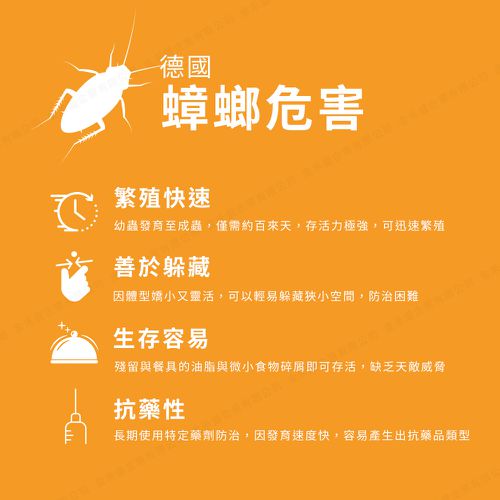 速克力 0.50%凝膠餌劑30g 蟑螂藥-德國巴斯夫正品